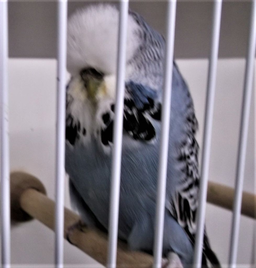 DSCF5816.JPG